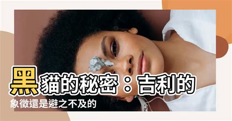 黑貓 象徵|【黑貓的意思】黑貓的秘密：吉利的象徵還是避之不及。